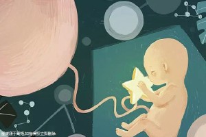 同性供卵代怀服务怎么收费